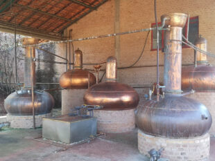 Cachaca da Tulha Special Edition 2019 rum review by the fat rum pirate