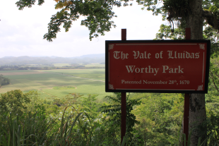 ALEXKONGWORTHYPARKSIGN