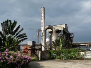 Geographic Indications (GIs) : The Jamaican Rum GI Explained article by the fat rum pirate