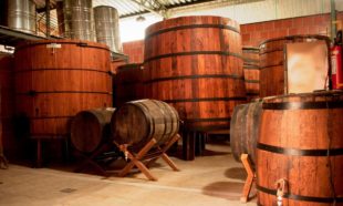 Cachaca Anunciada Rum Review by the fat rum pirate