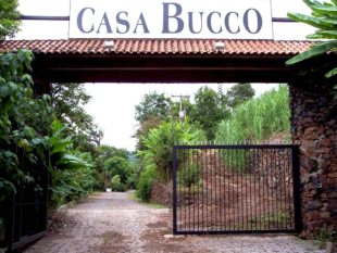 Casa Bucco Cachaca Envelhecida 6 Anos review by the fat rum pirate