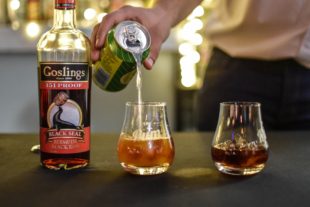 The Rum Festival Newcastle Review 2018 by the fat rum pirate