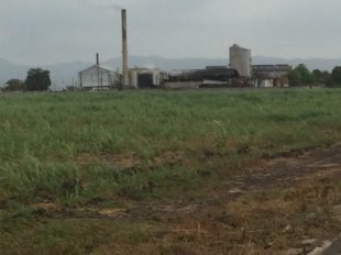 New Yarmouth Sugar Estate