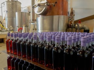 An Interview with Nils Van Rijn The Duchess Independent Bottler by the fat rum pirate