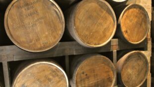 Geographic Indications (GIs) : The Barbados Rum GI Explained article by the fat rum pirate
