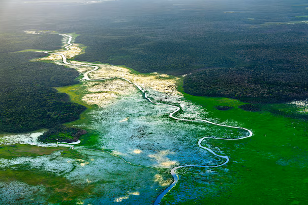 Geographic Indications (GIs) : Guyana Geographic Indication (GI) for Demerara Rum article by the fat rum pirate